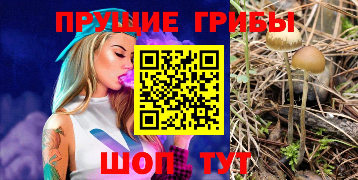 Псилоцибиновые грибы мухоморы Коммунар