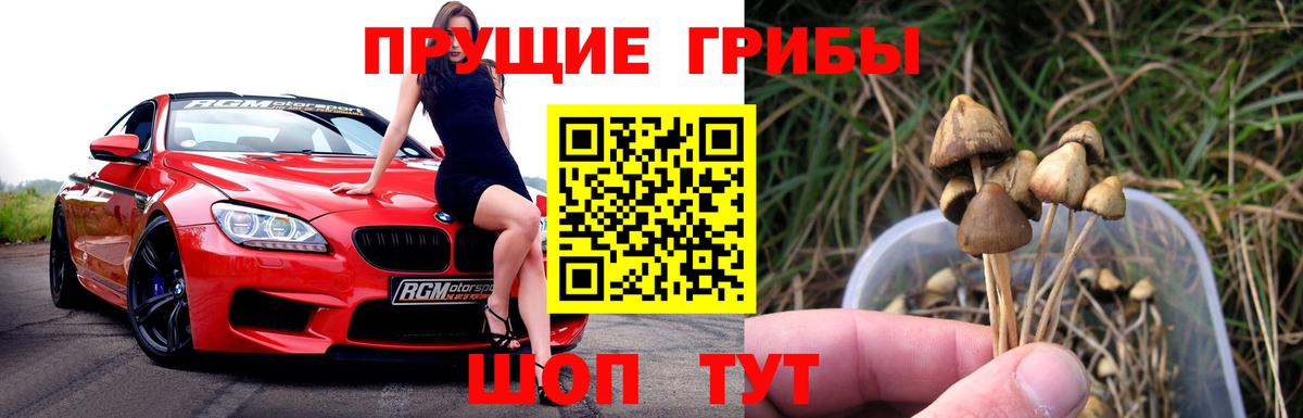 Галлюциногенные грибы Psilocybine cubensis  Псилоцибиновые грибы мицелий  Вход с VPN  Коммунар 