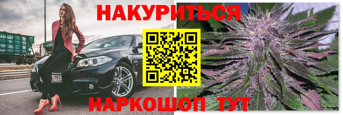Конопля гибрид Коммунар